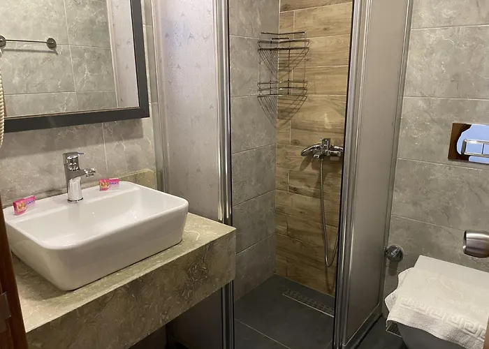 Kaya Garden * シダ